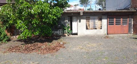 Image 5 - 872632