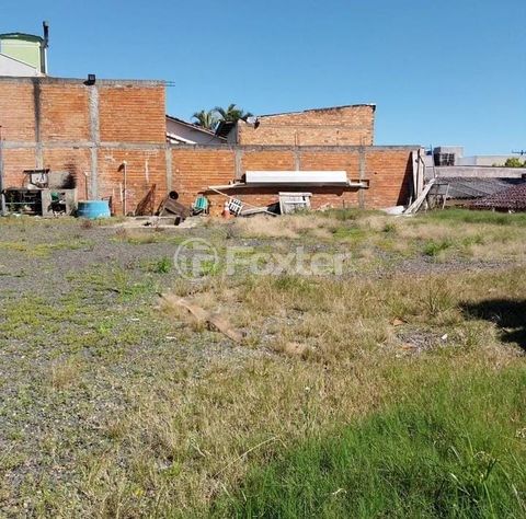 Image 9 - 872632
