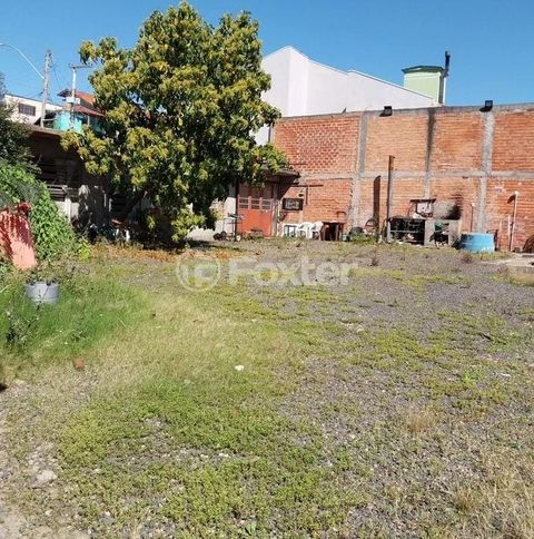 Image 10 - 872632