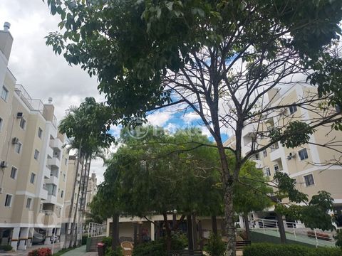 Image 6 - 872795