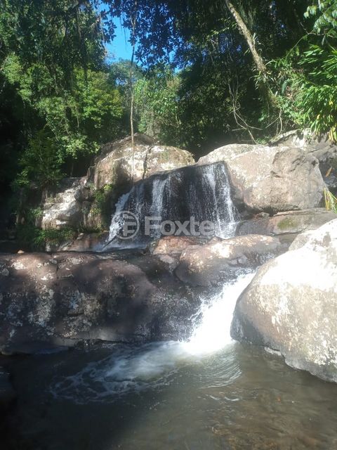 Image 9 - 872927