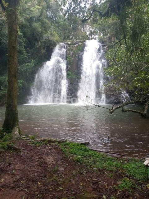 Image 10 - 872927
