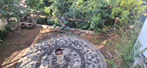 Image 11 - 872993