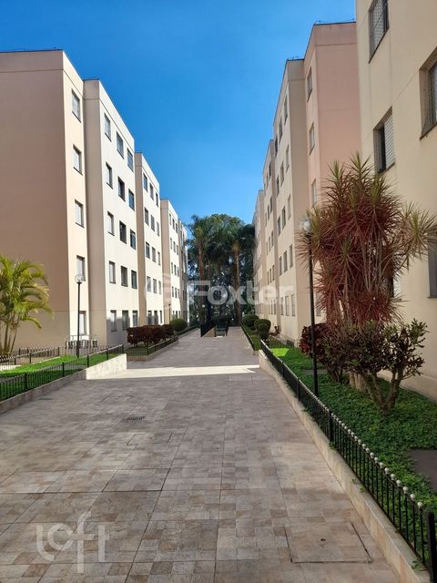 Image 7 - 873009