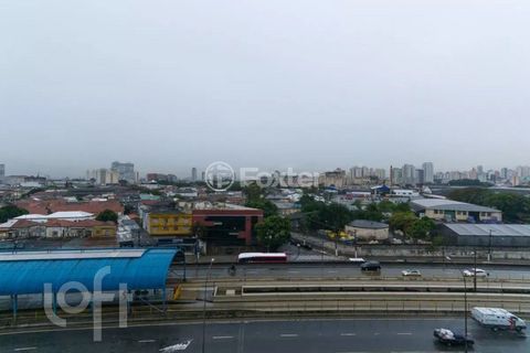 Image 13 - 873142