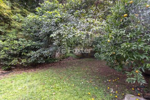Image 17 - 873169