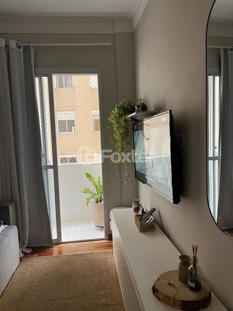 Image 8 - 873287