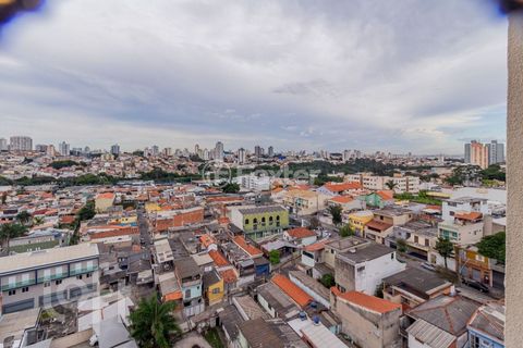 Image 7 - 873664