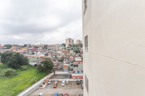 Image 4 - 873793