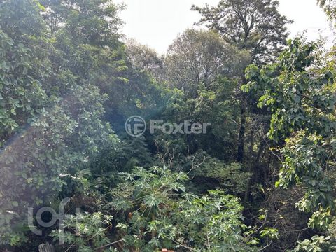 Image 10 - 873806