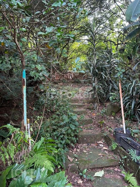 Image 9 - 873806
