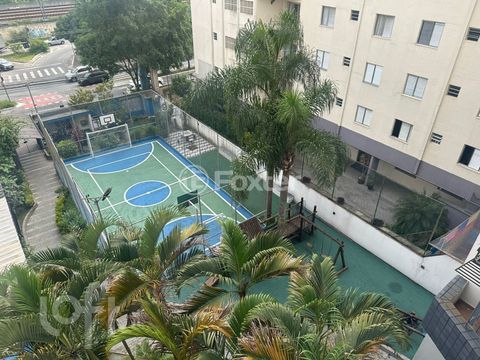 Image 10 - 873880