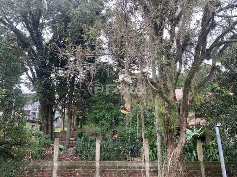 Image 8 - 874395