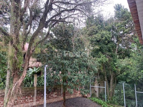Image 7 - 874395