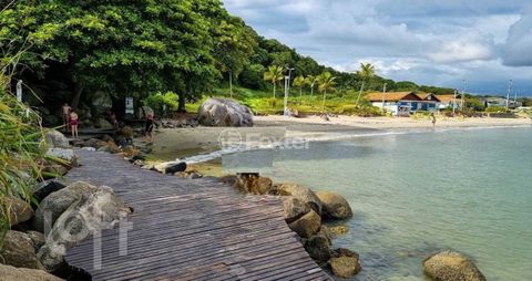 Image 17 - 874539