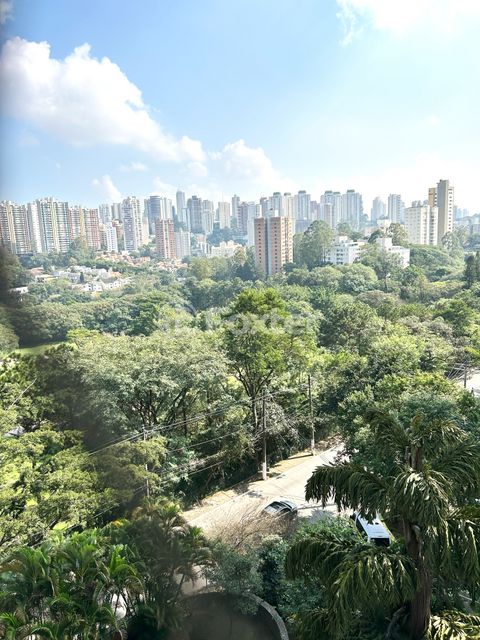 Image 19 - 874745