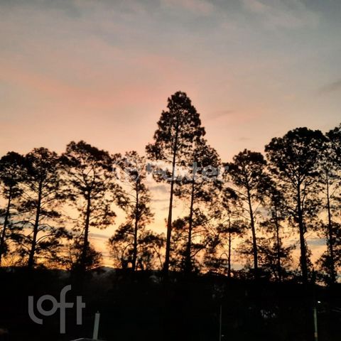 Image 7 - 874803