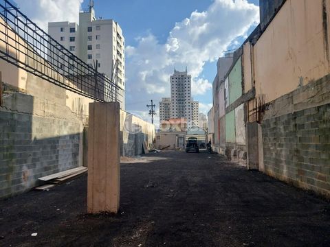 Image 7 - 874876