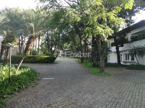 Image 6 - 874974