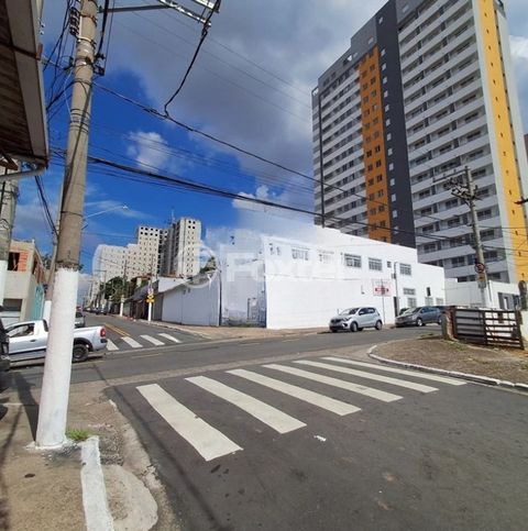 Image 6 - 875039