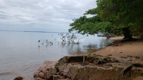 Image 10 - 875168
