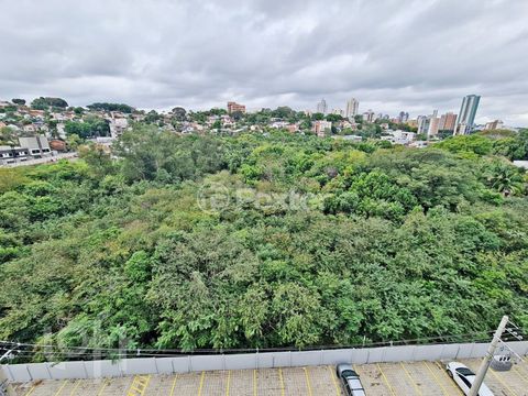 Image 2 - 875189