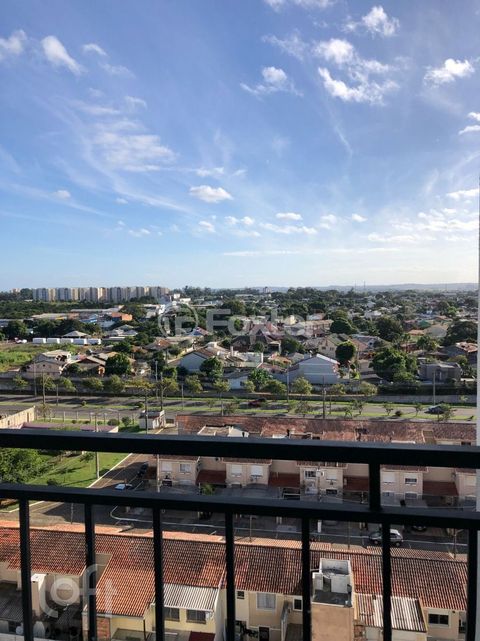 Image 13 - 875216