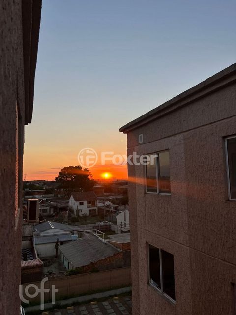 Image 9 - 875340