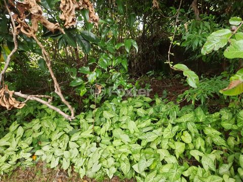 Image 9 - 875377