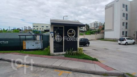 Image 4 - 875558