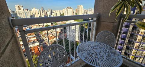 Image 5 - 875638