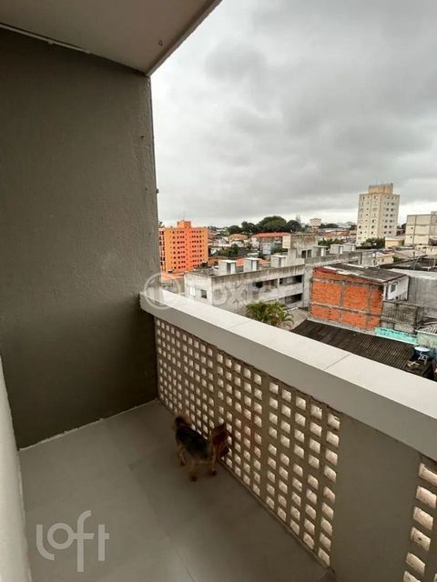 Image 5 - 875733
