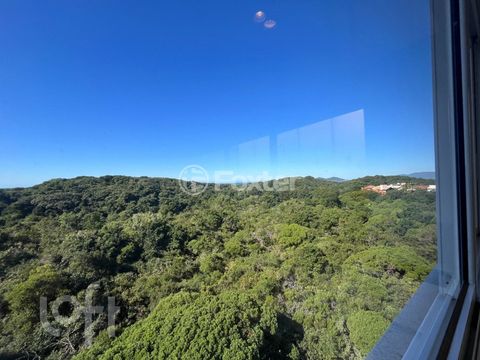 Image 8 - 875738