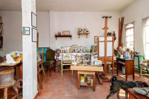 Image 11 - 875891