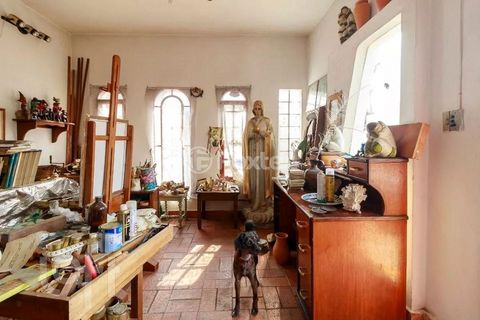 Image 12 - 875891