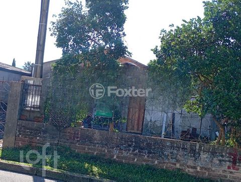 Image 9 - 875947