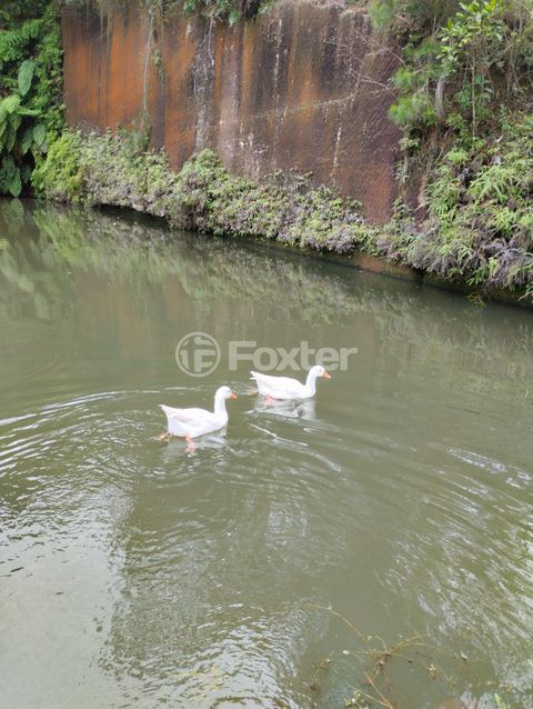 Image 14 - 875991