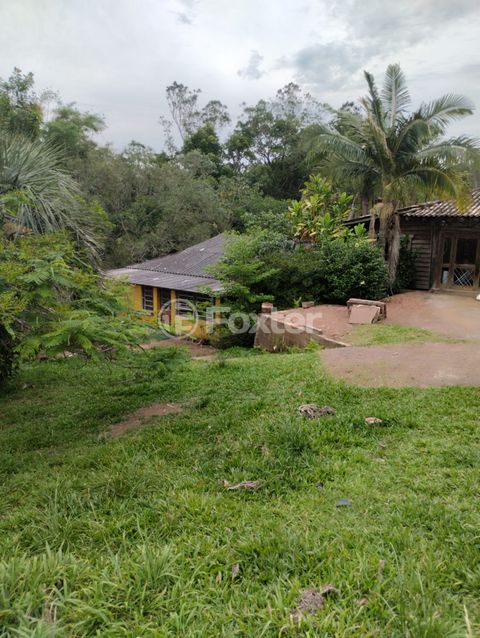 Image 12 - 875991