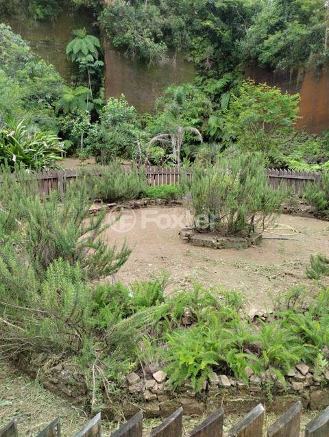 Image 19 - 875991