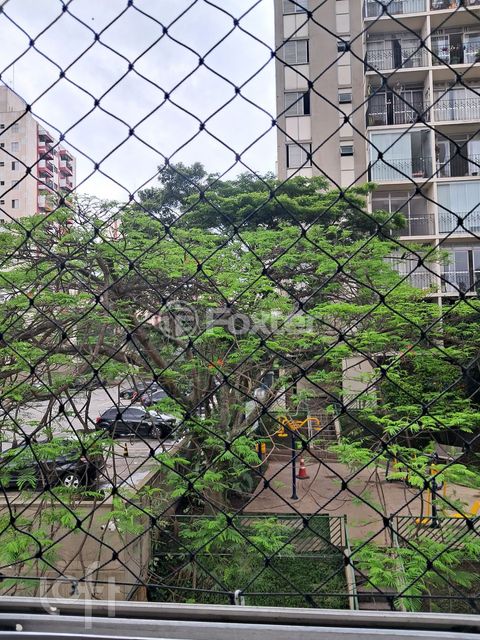 Image 11 - 876037