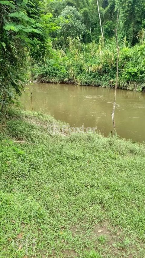 Image 10 - 876078