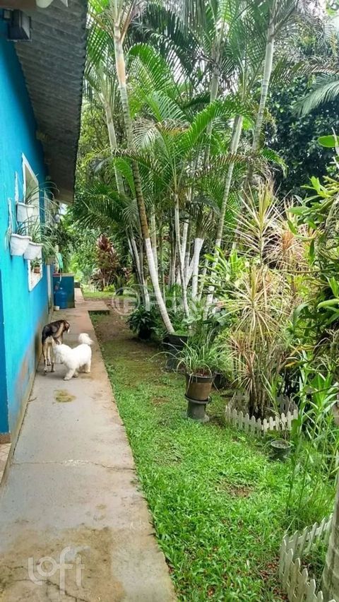 Image 5 - 876078