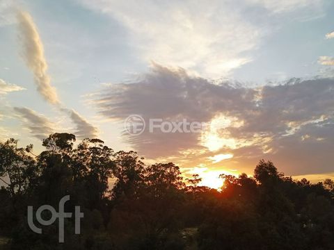 Image 14 - 876194