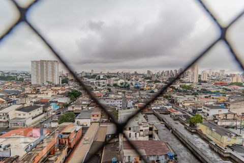 Image 15 - 876219