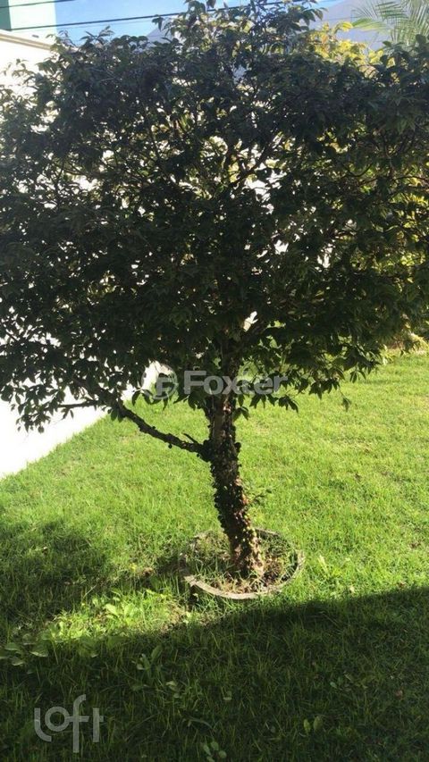 Image 3 - 876289