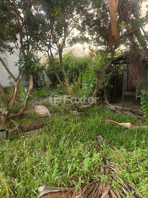Image 3 - 876370