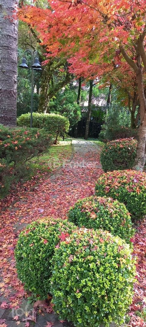 Image 12 - 876510