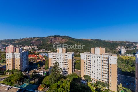 Image 13 - 876513