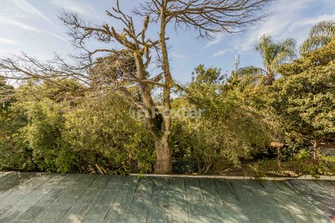 Image 8 - 876539