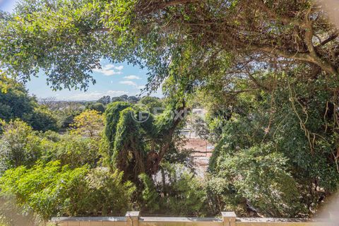 Image 14 - 876581